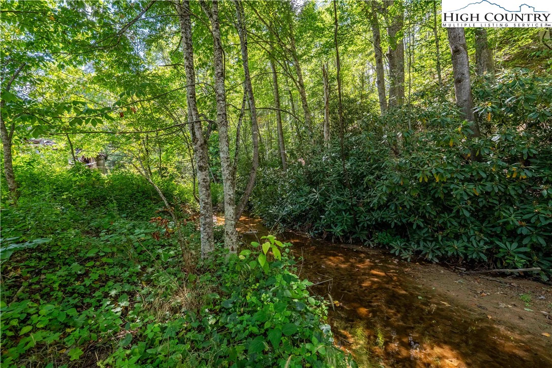 Image number 7 for the current listing