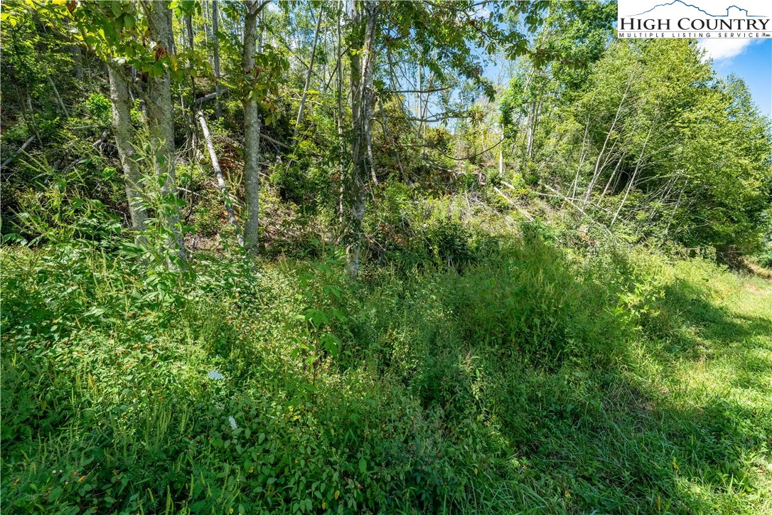 Image number 6 for the current listing