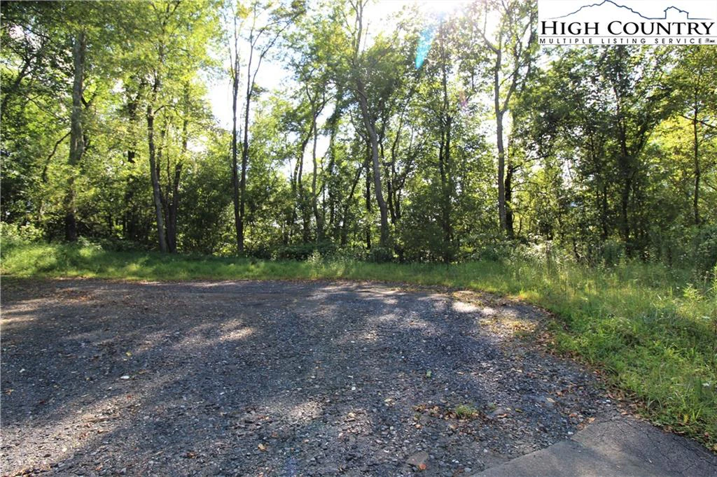 Image number 3 for the current listing