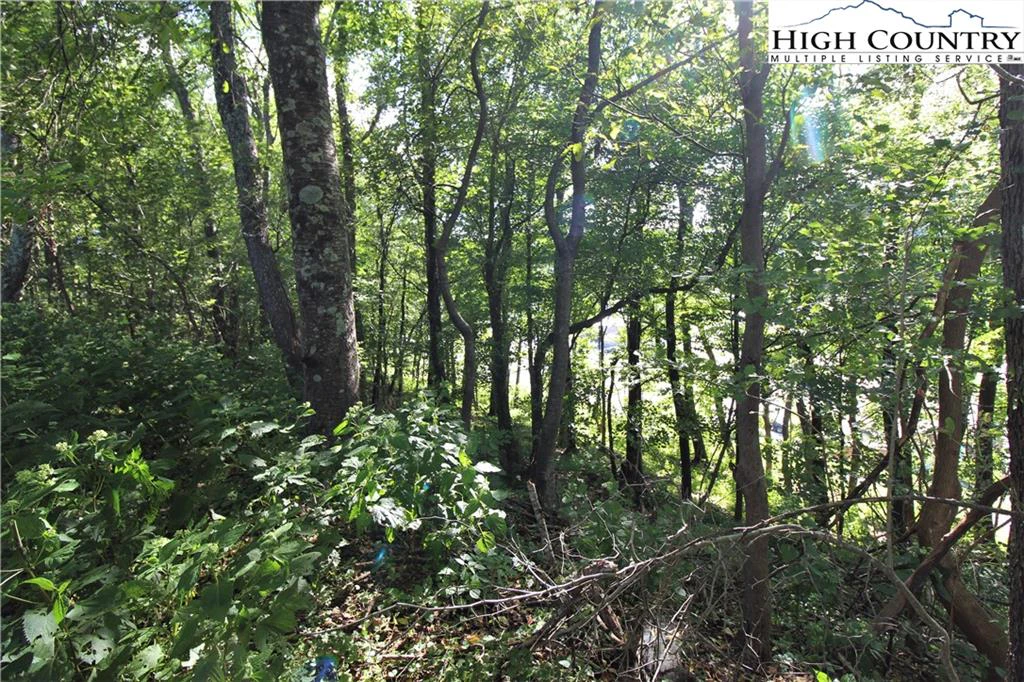 Image number 4 for the current listing