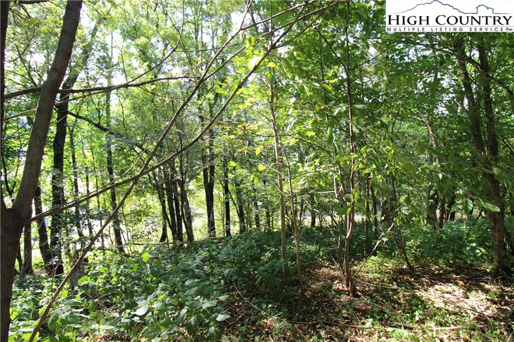 Image number 5 for the current listing