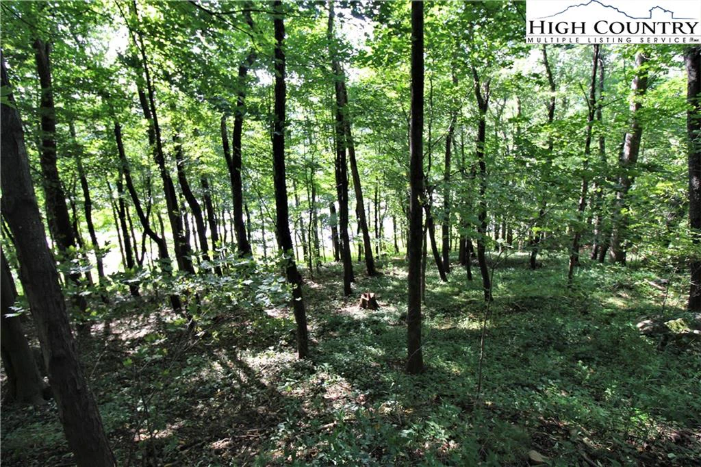 Image number 6 for the current listing