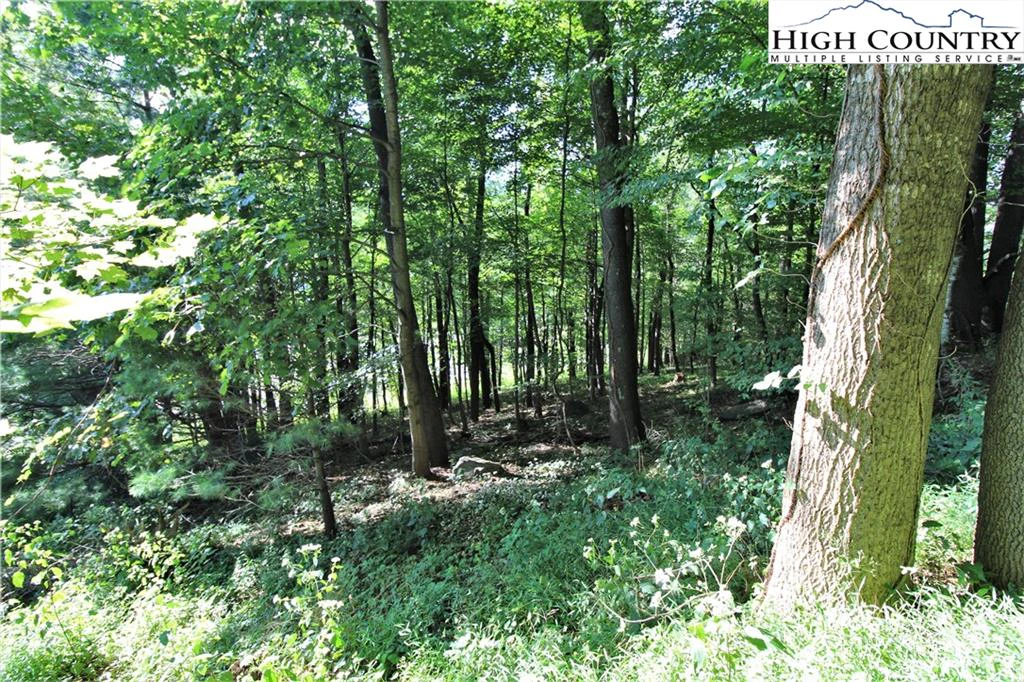 Image number 7 for the current listing