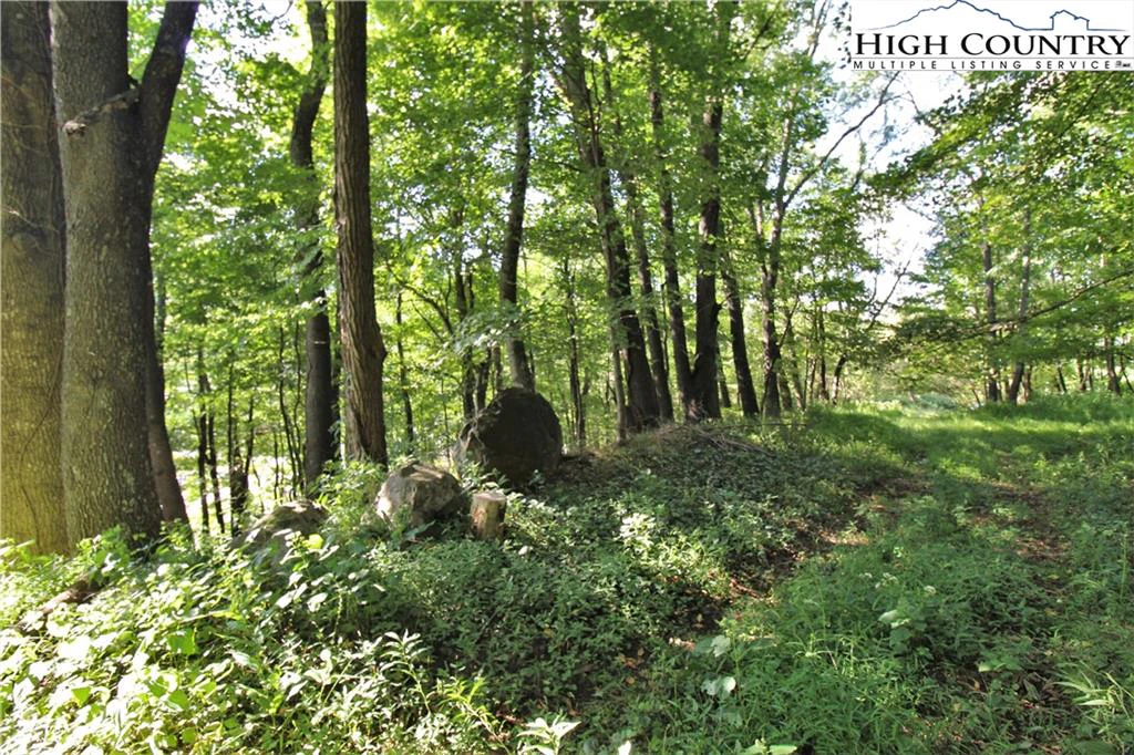 Image number 8 for the current listing