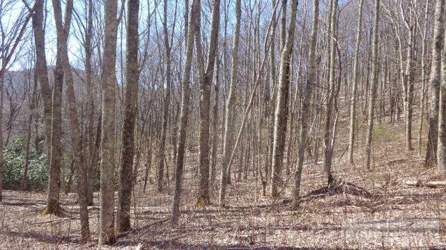 Image number 11 for the current listing