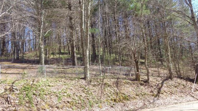 Image number 3 for the current listing
