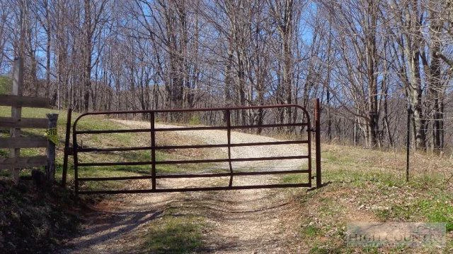 Image number 5 for the current listing