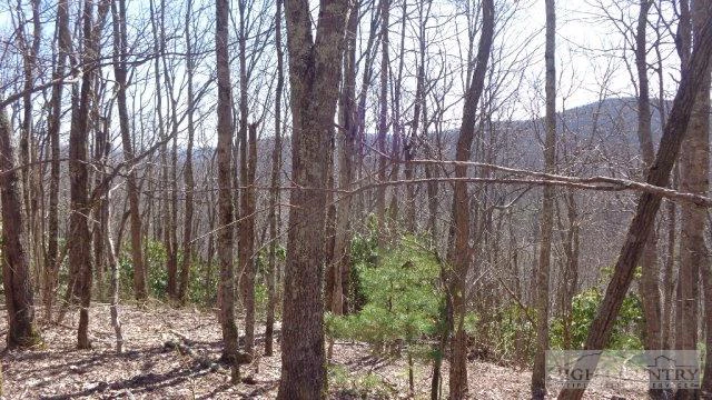 Image number 8 for the current listing