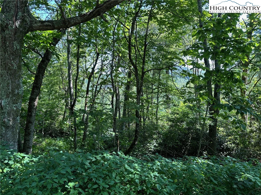Image number 1 for the current listing