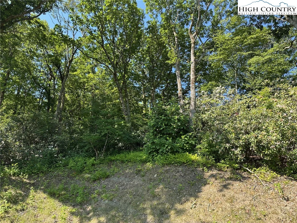 Image number 2 for the current listing