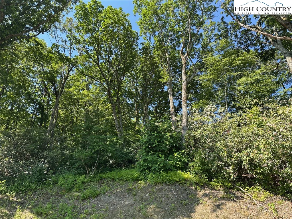 Image number 3 for the current listing