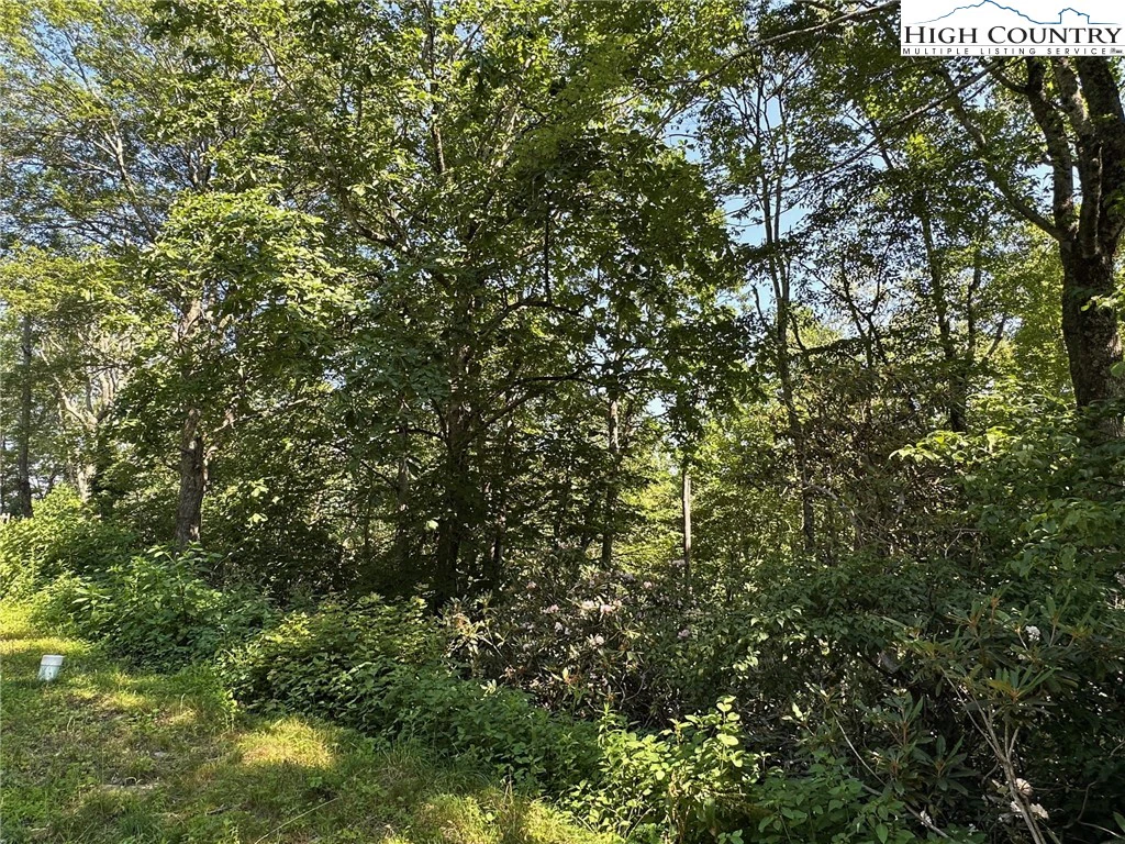 Image number 5 for the current listing