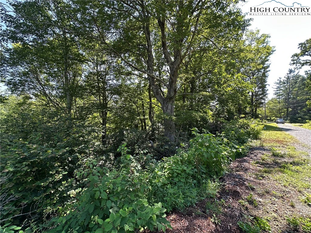 Image number 6 for the current listing