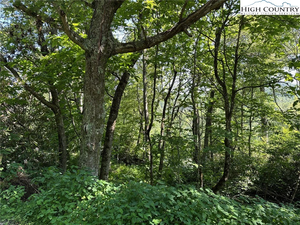 Image number 7 for the current listing