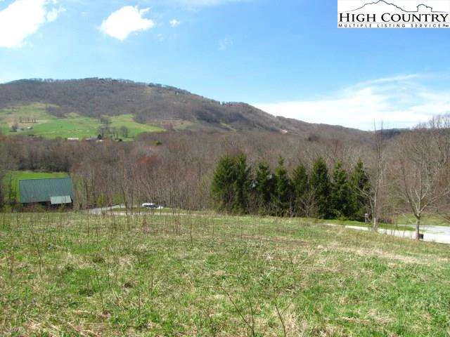Image number 1 for the current listing