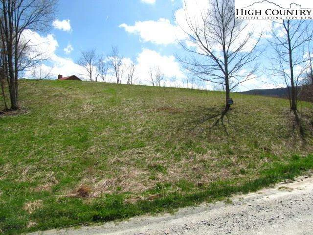 Image number 12 for the current listing