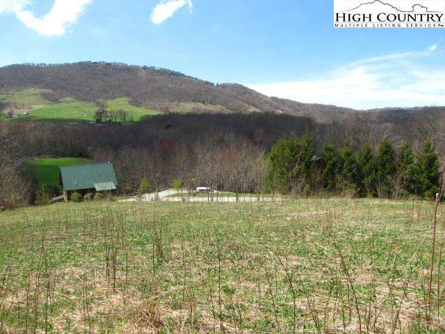 Image number 5 for the current listing