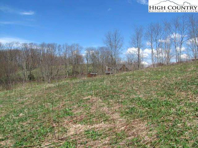 Image number 7 for the current listing