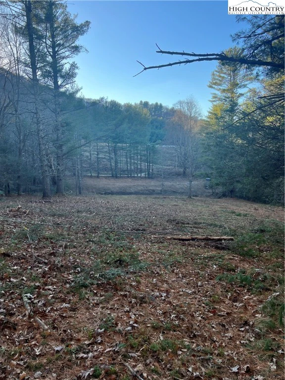 Image number 1 for the current listing