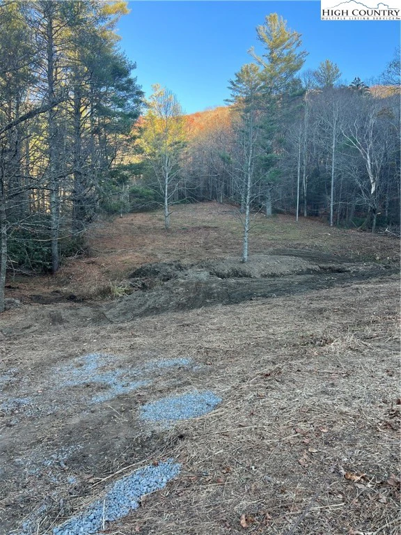 Image number 3 for the current listing