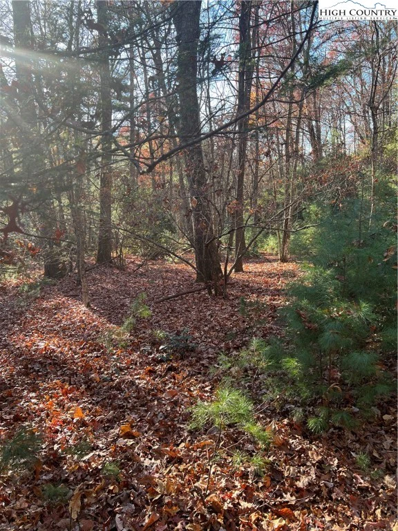 Image number 5 for the current listing