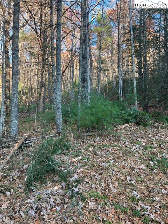 Image number 9 for the current listing