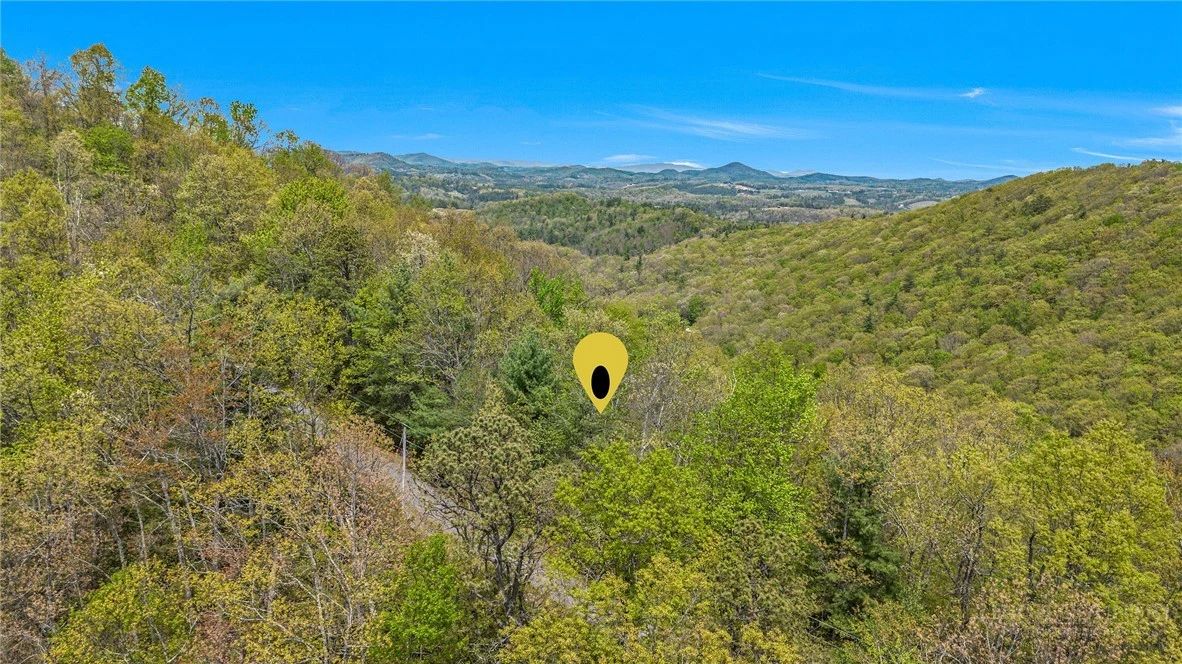 Image number 17 for the current listing