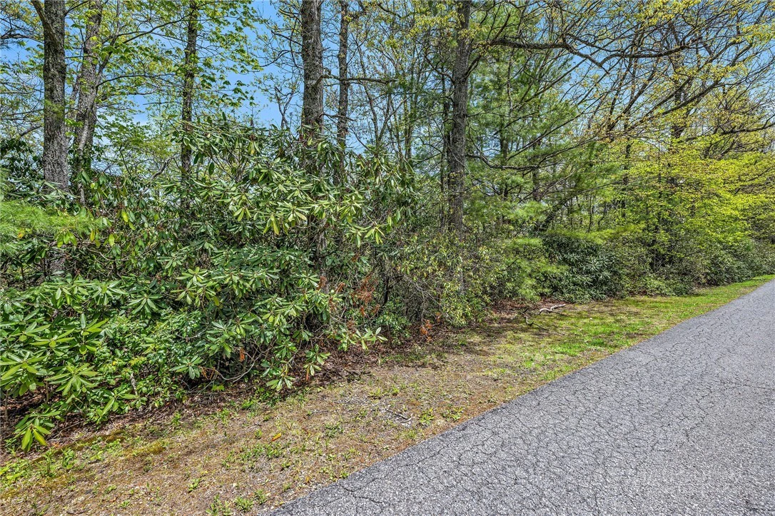 Image number 2 for the current listing