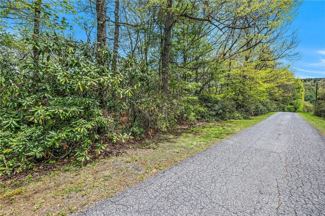 Image number 12 for the current listing