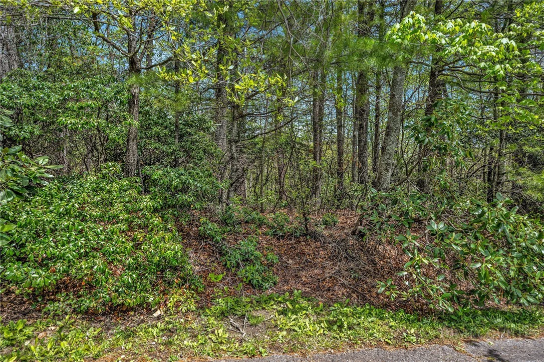 Image number 11 for the current listing