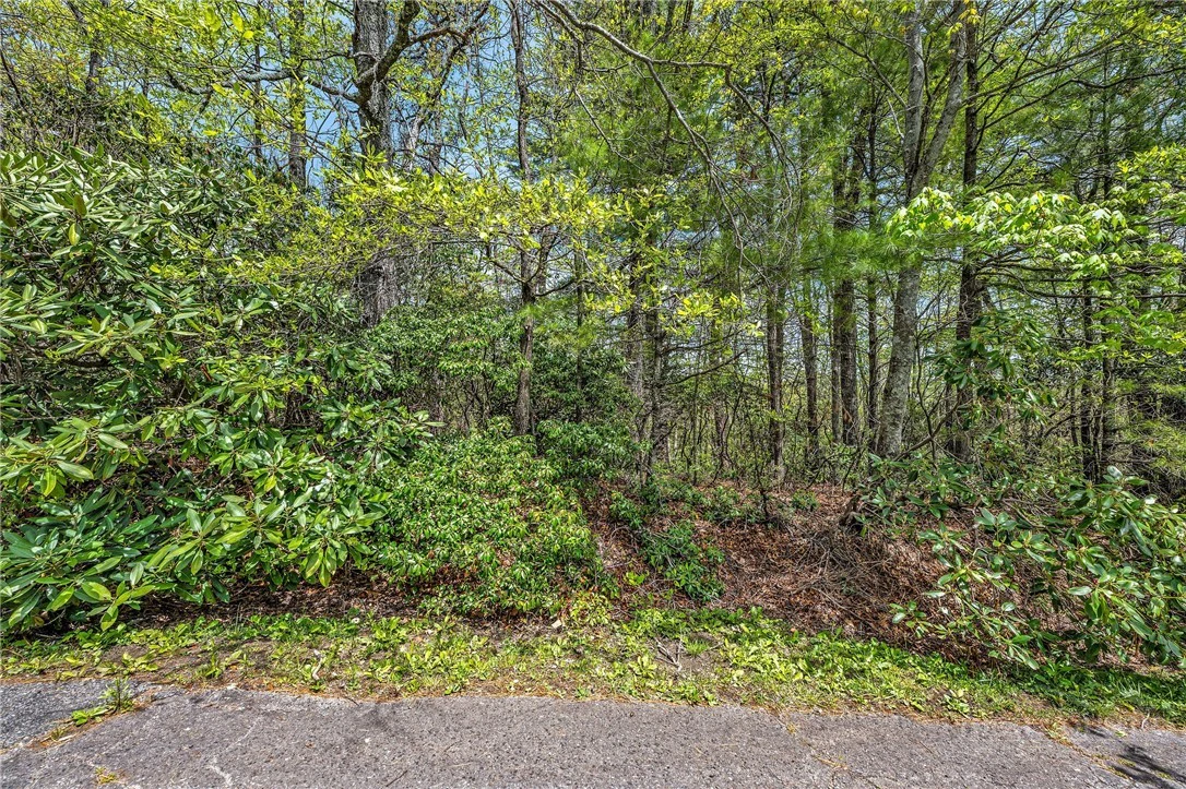 Image number 10 for the current listing