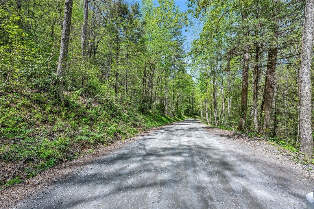 Image number 6 for the current listing