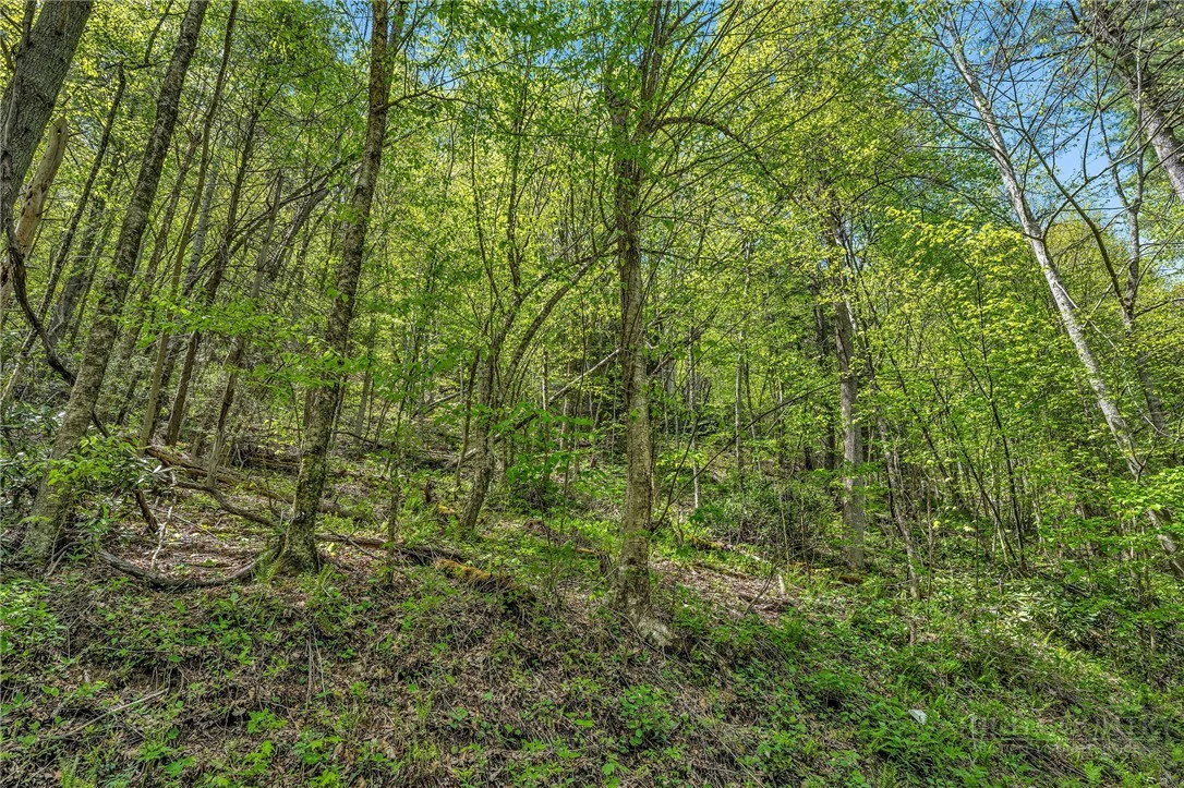 Image number 5 for the current listing