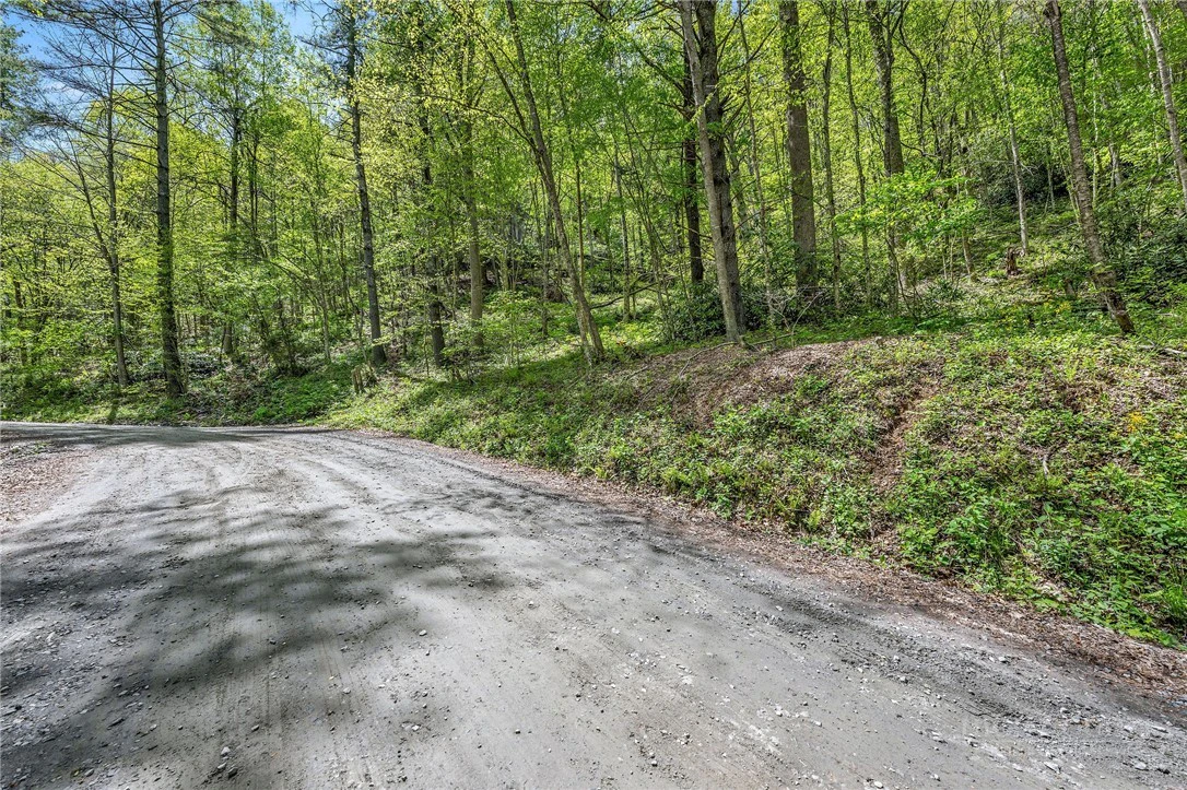 Image number 4 for the current listing