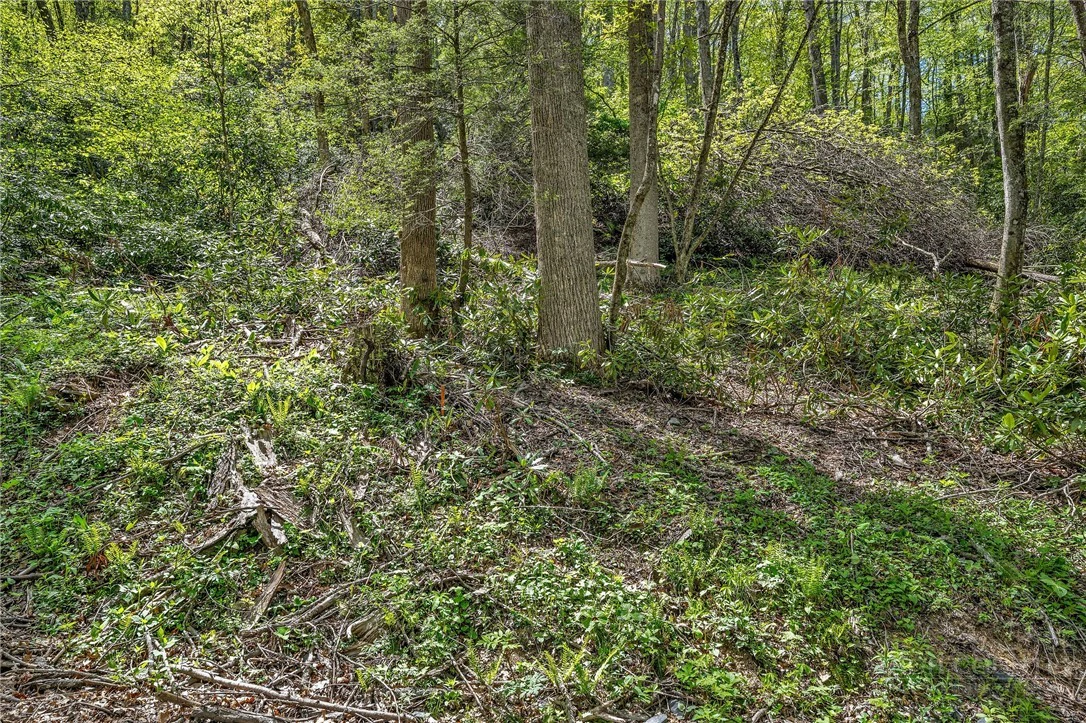 Image number 3 for the current listing
