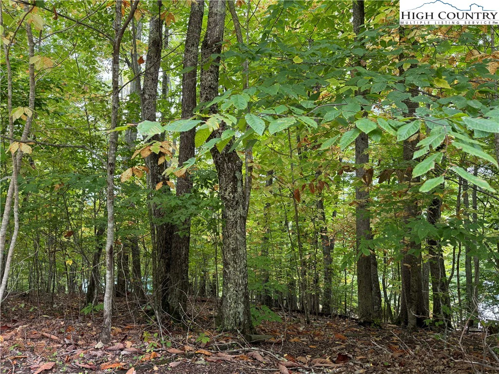 Image number 1 for the current listing