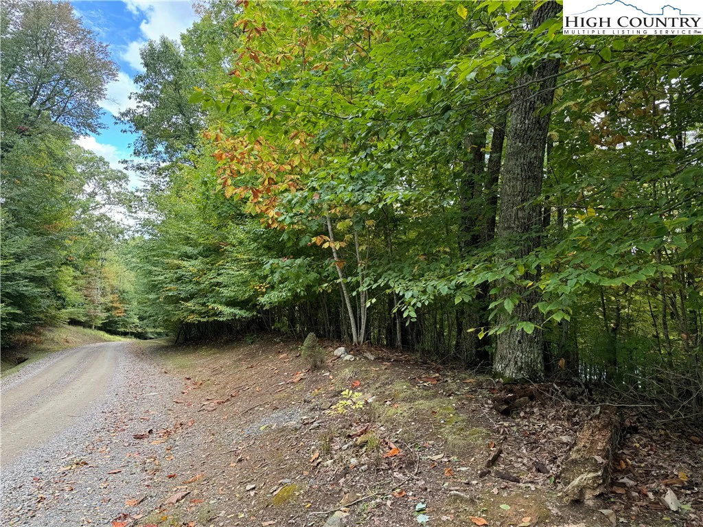 Image number 3 for the current listing