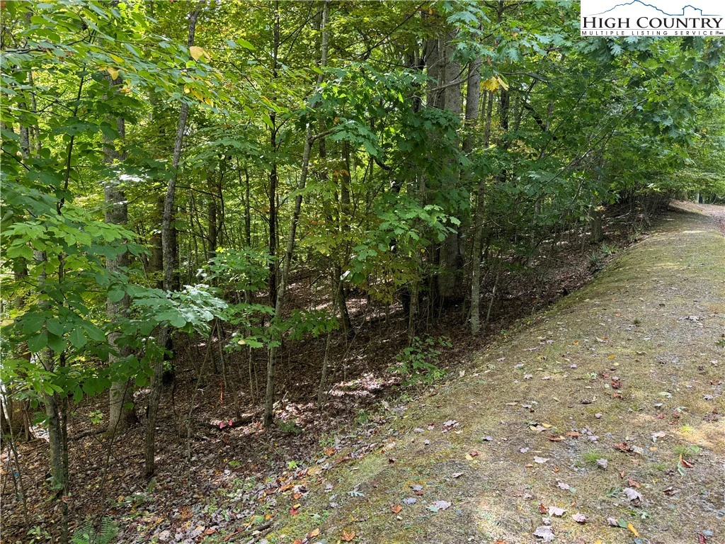 Image number 9 for the current listing