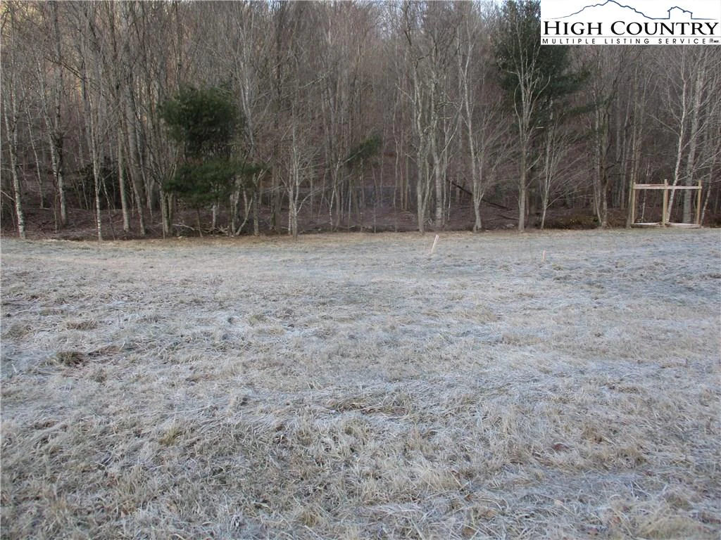 Image number 3 for the current listing