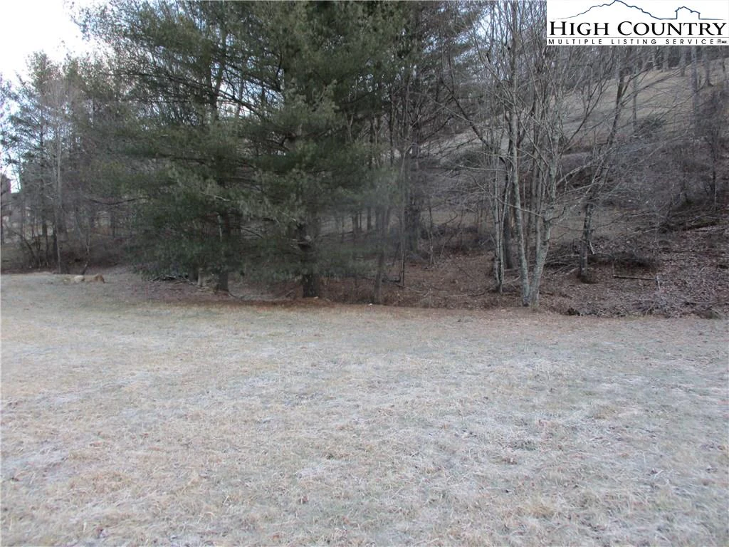 Image number 10 for the current listing