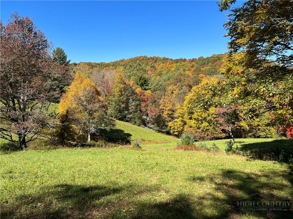 Image number 2 for the current listing