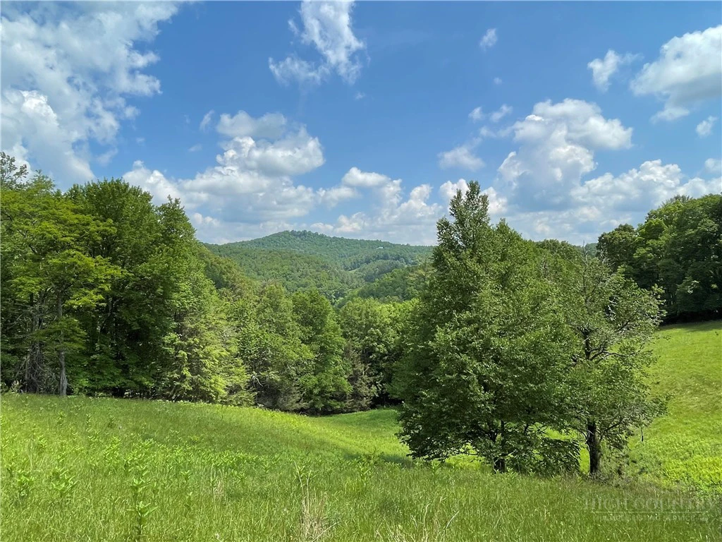 Image number 3 for the current listing