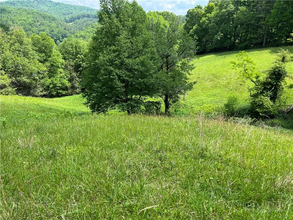 Image number 4 for the current listing