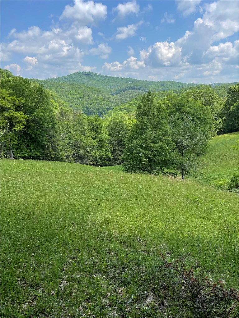 Image number 5 for the current listing