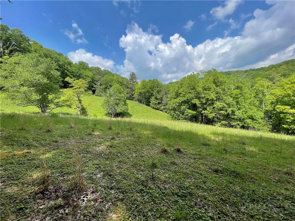 Image number 6 for the current listing