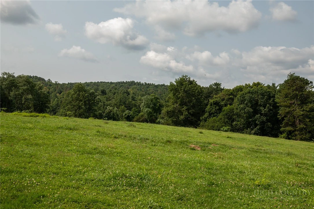 Image number 1 for the current listing