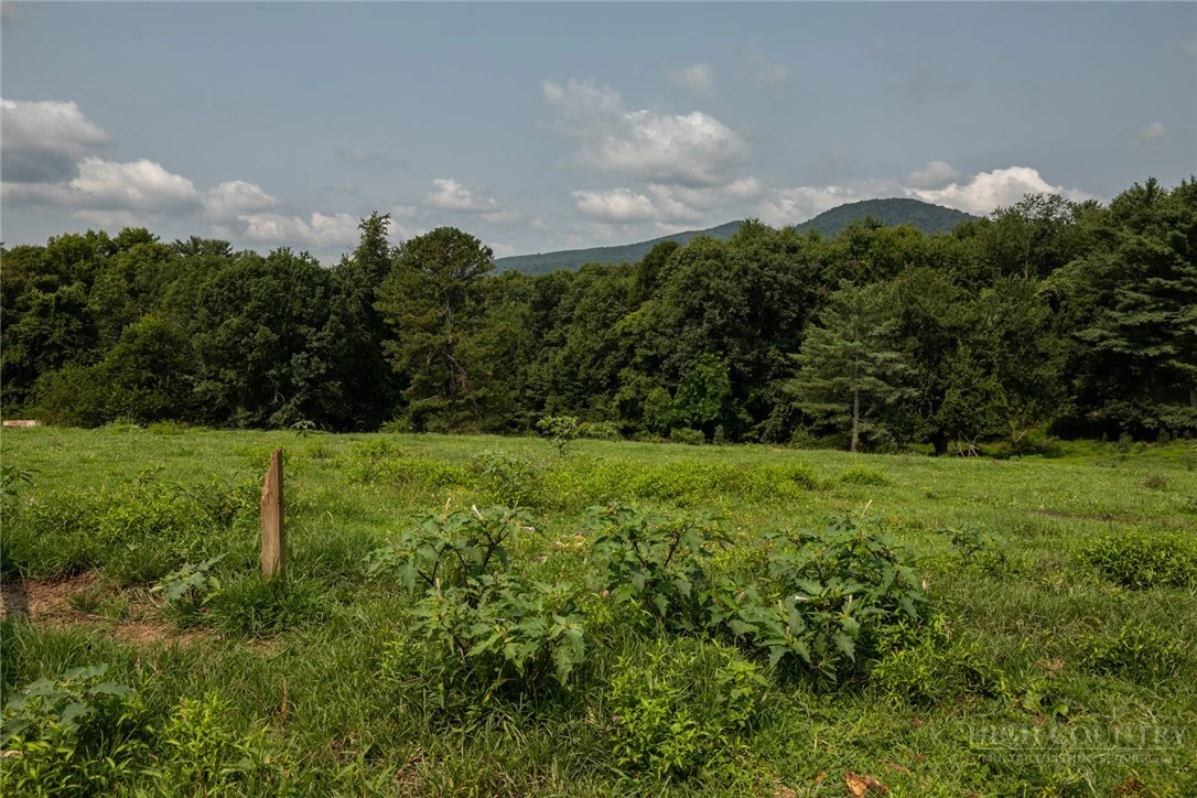 Image number 2 for the current listing