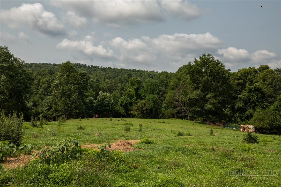 Image number 3 for the current listing