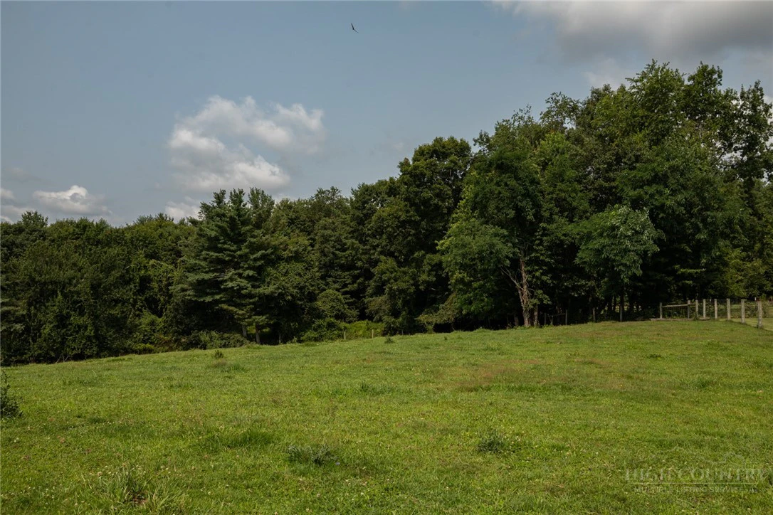 Image number 5 for the current listing