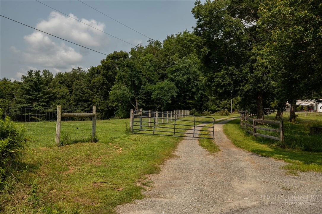 Image number 7 for the current listing